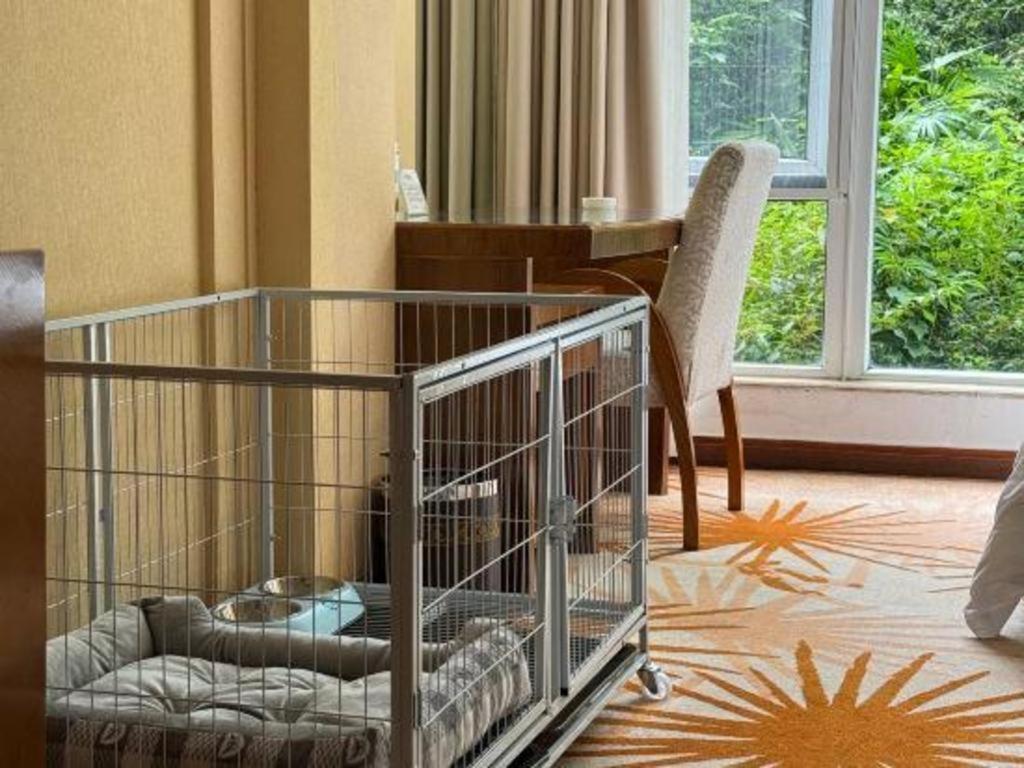 Hongzhushan Hotel Mount Emei Leshan Zewnętrze zdjęcie